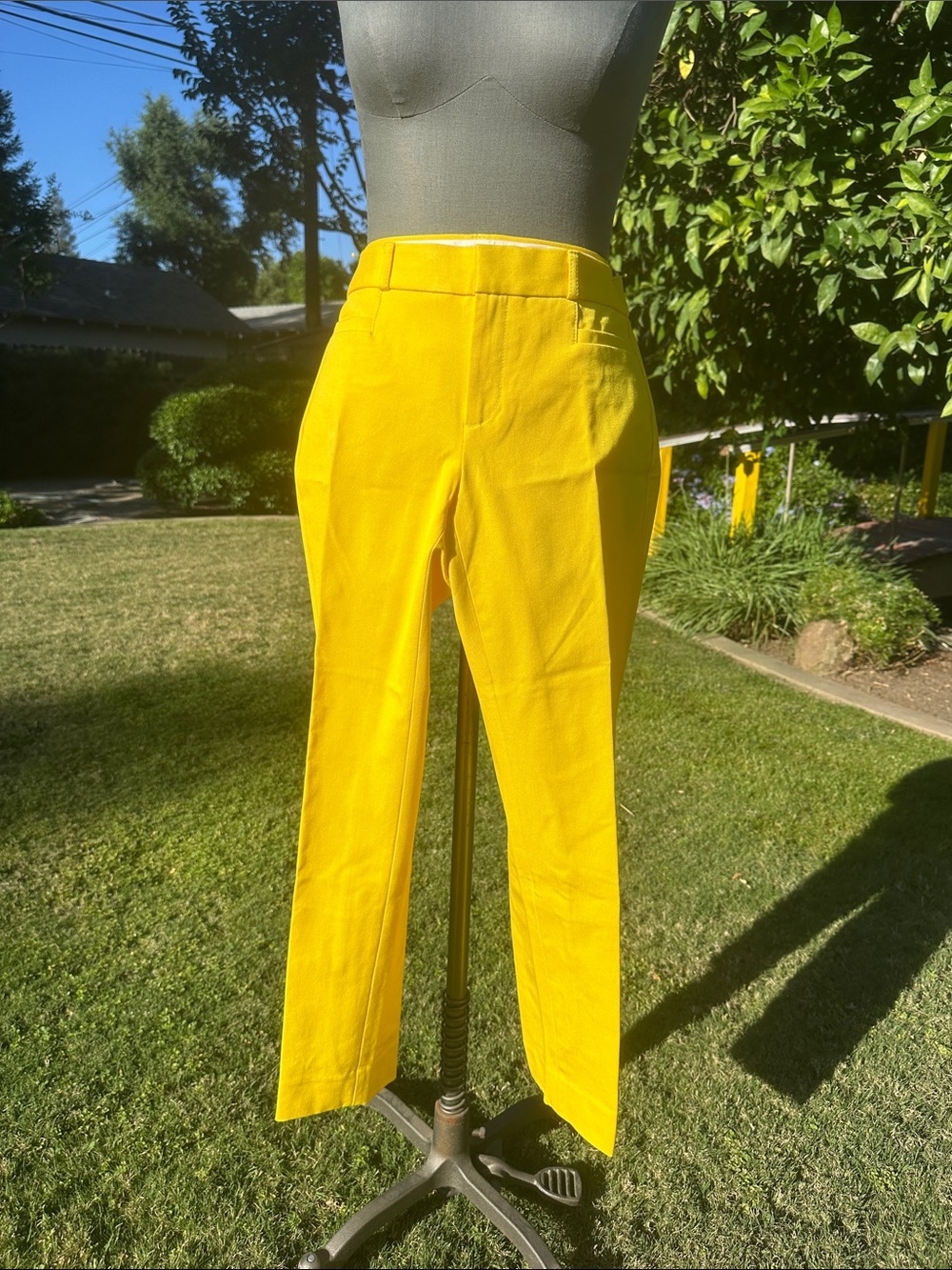 NWT Banana Republic Bright Yellow Straight Leg Pants